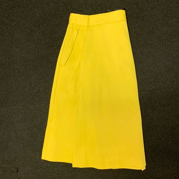 New Fashion Skirt by Massimo Dutti - Picture 6 of 13